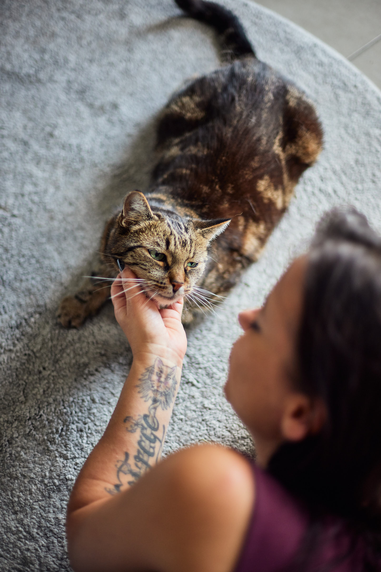 Katze schaut Carmen Schell in die Augen