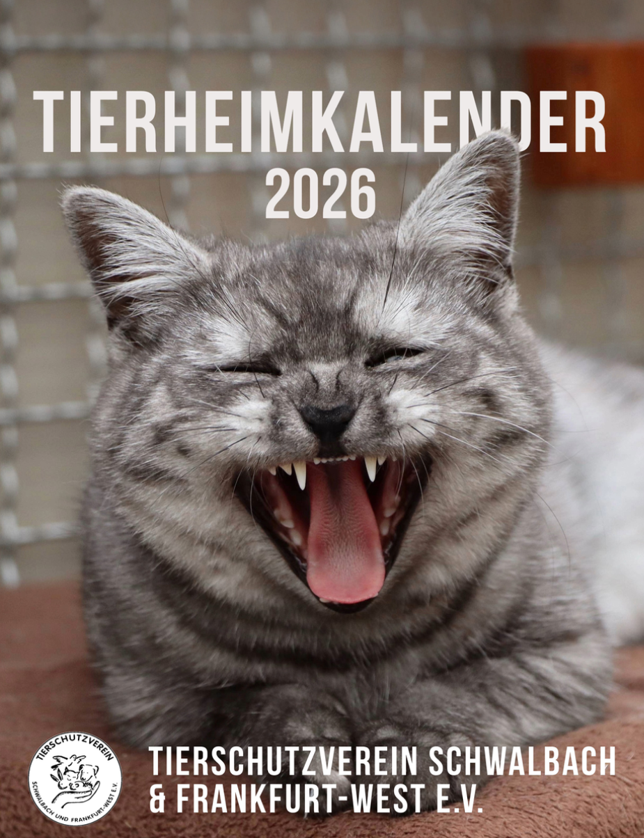 Deckblatt Tierheim-Kalender 2026