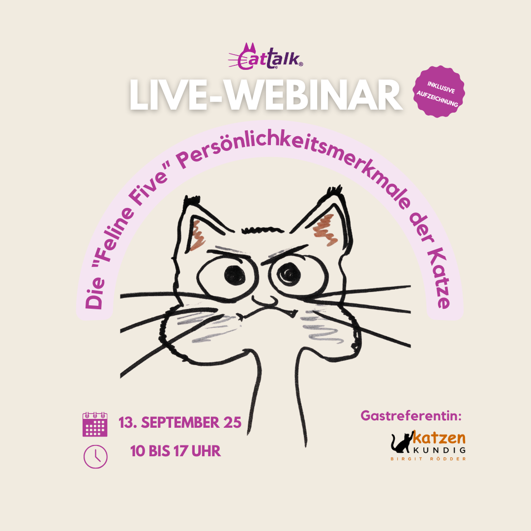 Webinar-Werbung: Feline 5