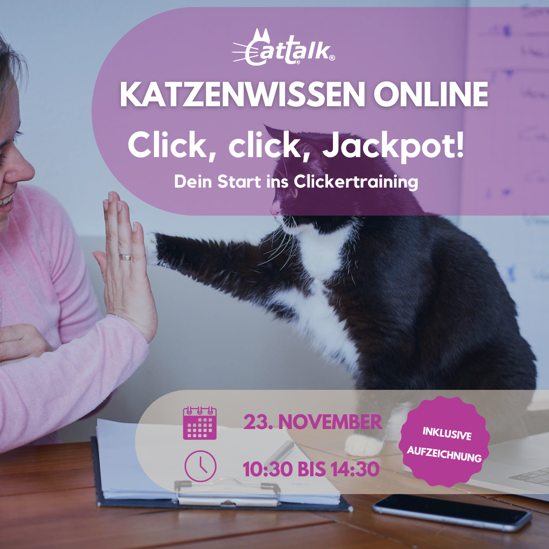 Webinardaten Clickern mit Katzen
