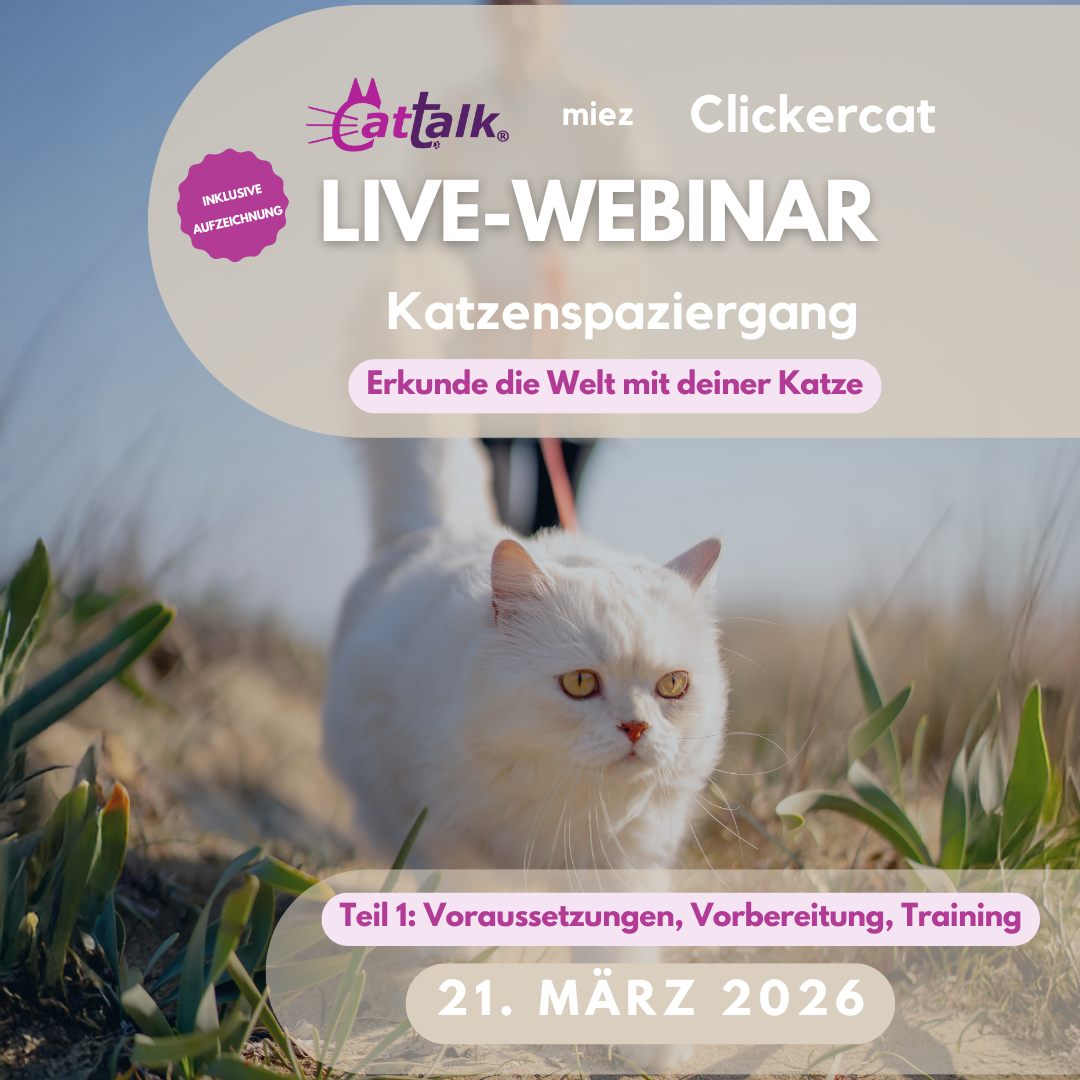 Katzenspaziergang_Webinar_T1 Webinardaten: Sterbebegleitung Katze 1