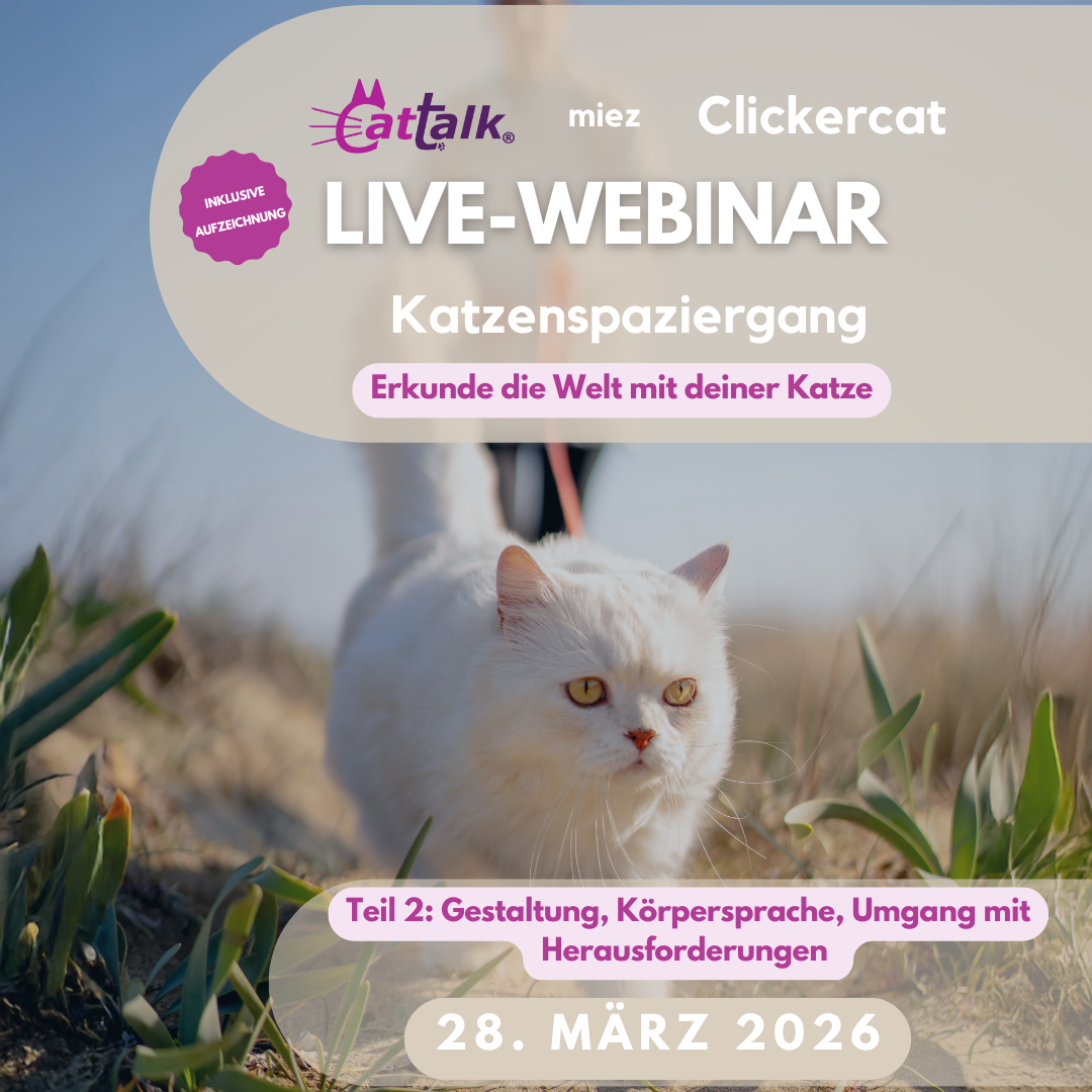 Katzenspaziergang_Webinar_T2 Webinardaten Trauerbegleitung Katze