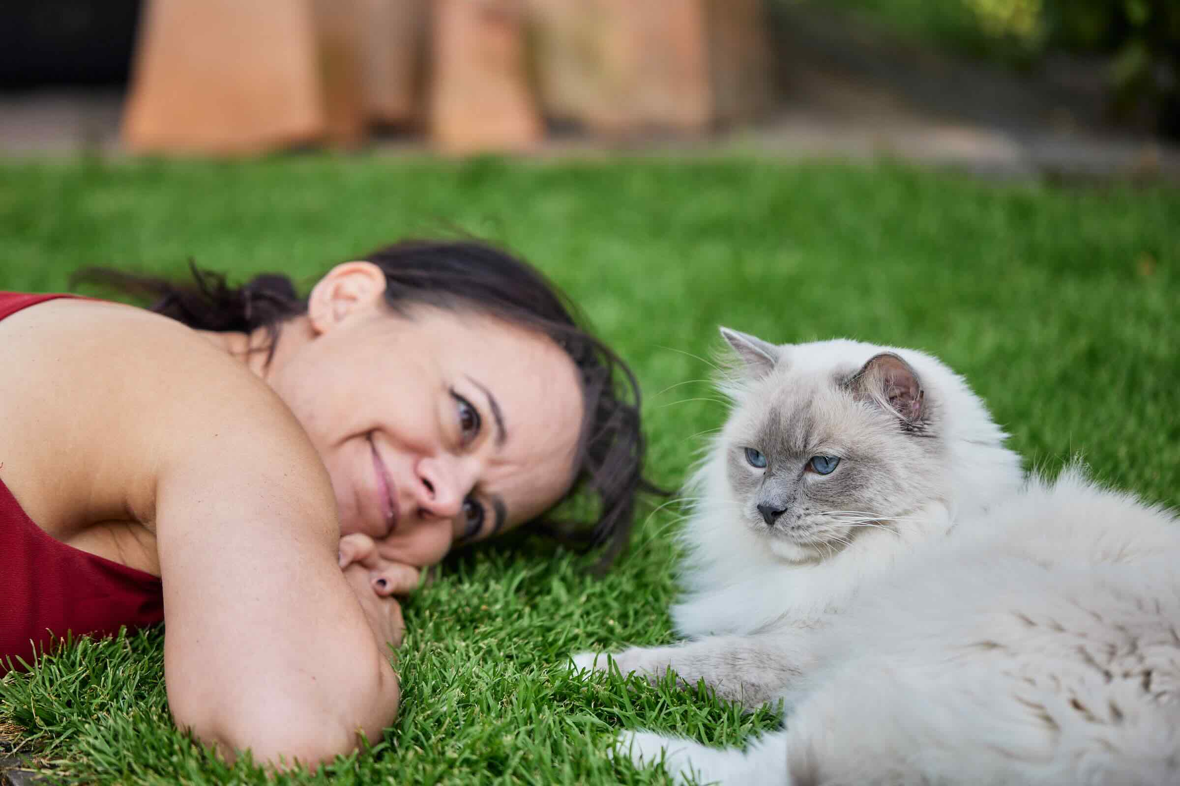 Bindung zwischen Katze und Mensch: Ragdoll-Kater Bellini liegt entspannt im Gras. Carmen legt neben ihm und schaut ihn lächelnd an.